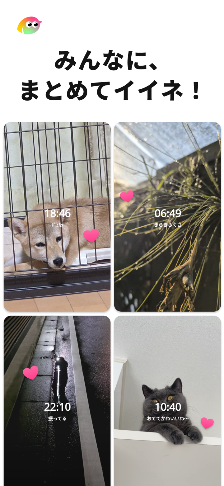 みんなに、まとめてイイネ！の画面